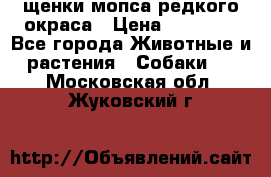 щенки мопса редкого окраса › Цена ­ 20 000 - Все города Животные и растения » Собаки   . Московская обл.,Жуковский г.
